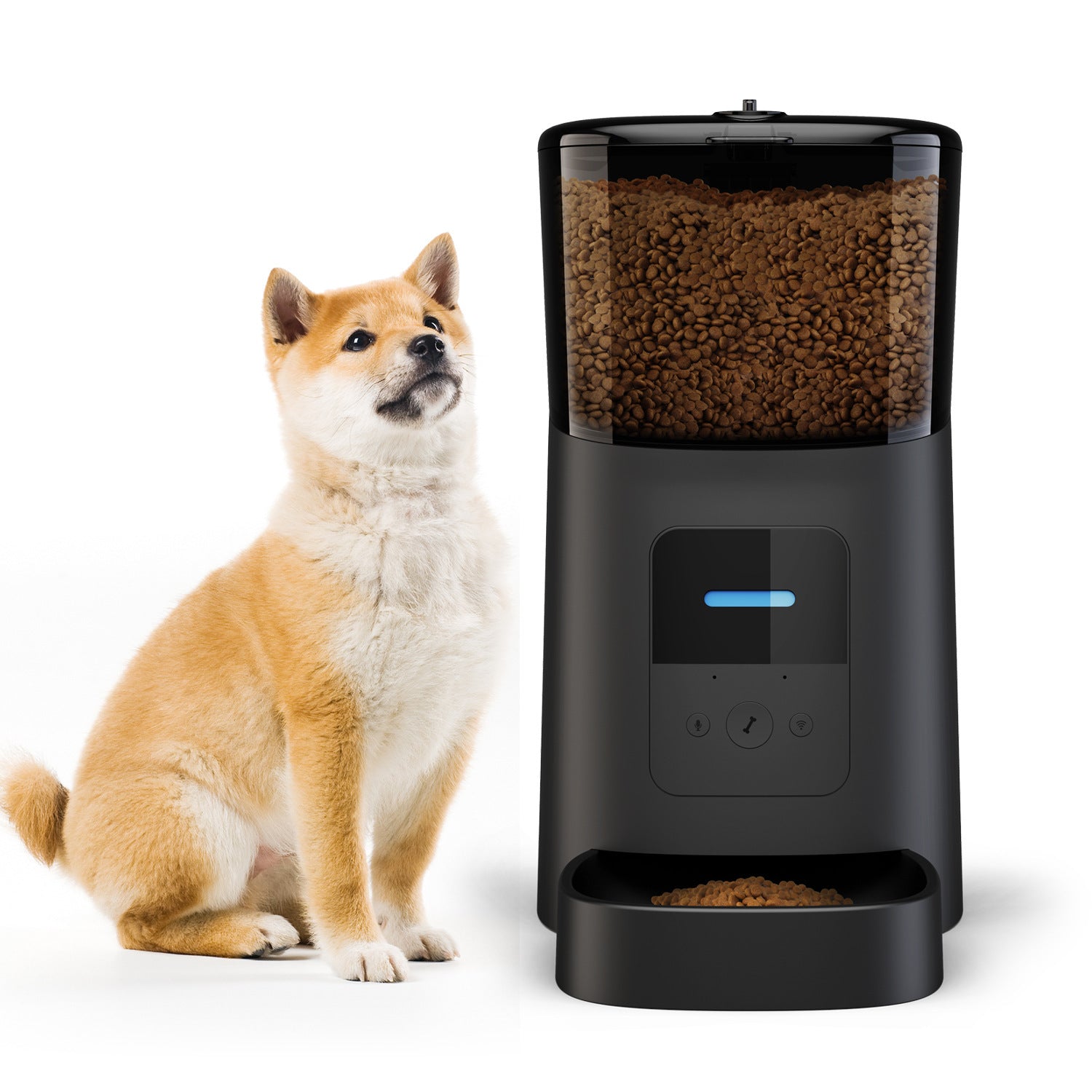 Pet automatic feeder