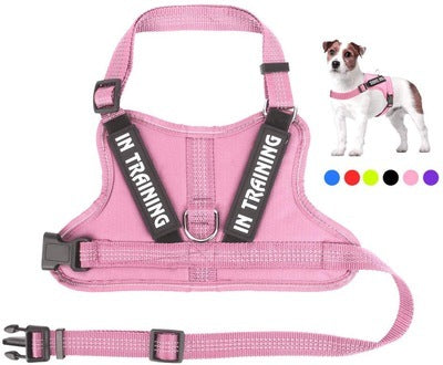 Personalize Per harness