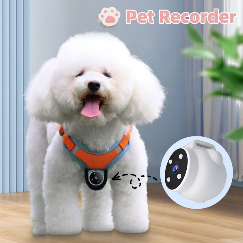 GPS Pet Collar / Recording Camera